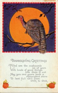 Thanksgiving Greetings With Turkey and Full Moon