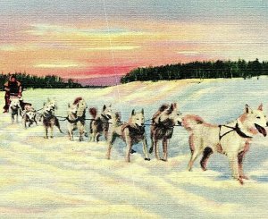 Alaska Siberian Dog Team Unused Passed By Post Censor APO 940 Linen Postcard C17