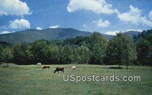 Southwest - Blue Ridge Mountains, Virginia