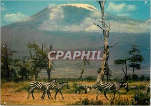Postcard Modern Kenya Kilimanjaro