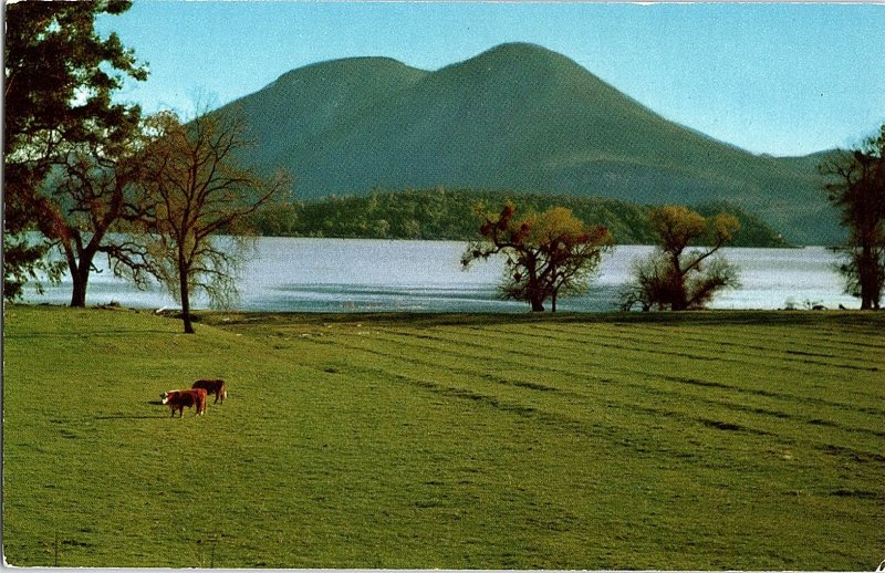 Chrome WATER SCENE Clearlake - Near Ukiah & Sacramento California CA AH7058