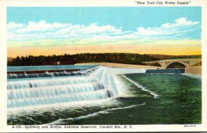 New York Catskill Mountains Ashokan Reservoir Spillway and Bridge Curteich