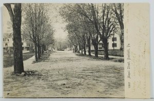 Bushkill Pa Maple Street 1906 to N. Water Gap Postcard N6