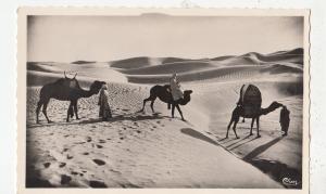 BF27025 gabes tunisia dans les dunes  types  front/back image