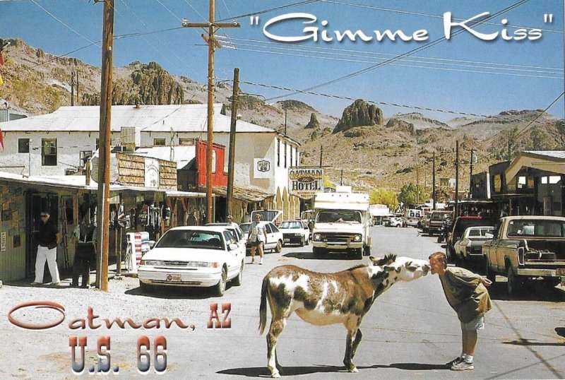 Gimme Kiss Burro in Oatman Arizona Route 66  4 by 6