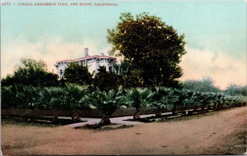 Typical Residence View, Red Bluff California Vintage Postcard I04