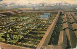 United States Chicago Stock yards