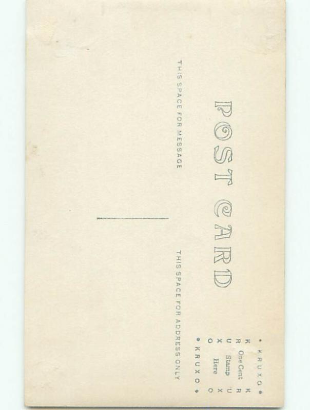 Old rppc ANIMAL SCENE Great Postcard AB1987