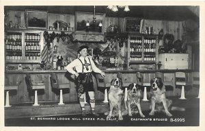 RPPC MILL CREEK, CA California ~ Roadside ST. BERNARD LODGE Dogs  Postcard