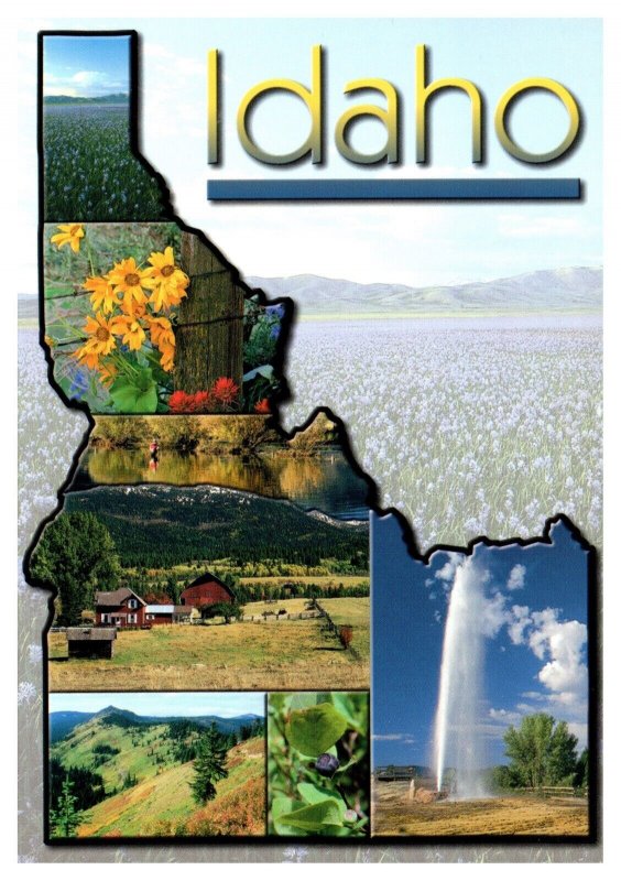Idaho Gem State Map Multi View Scenic Landmarks Chrome WOB Postcard
