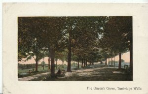 Kent Postcard - The Queen's Grove - Tunbridge Wells   ZZ245