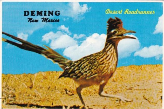 New Mexico Deming The Desert Roadrunner