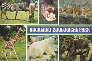 Auckland Zoological Park New Zealand NZ Zoo Multiview c1979 Unused Postcard D30