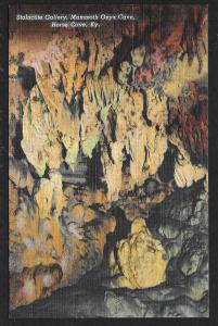 Stalactite Gallery Mammoth Onyx Cave Horse Cave Kentucky Unused c1938