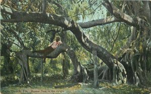 Palm Beach Florida Rubber Tree Jungle Leighton #26557 C-1910 Postcard  21-13215