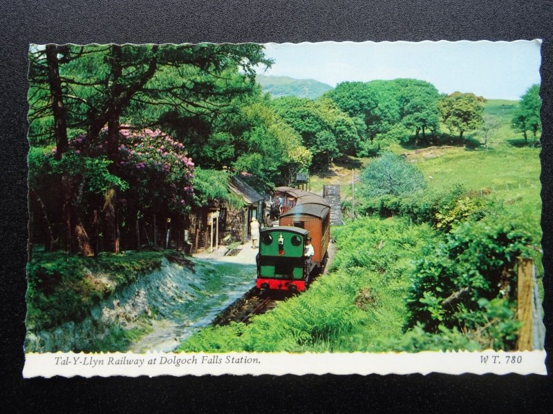 Wales TAL-Y-LLYN RAILWAY Dolgoch Falls Station - Old Postcard by E.T.W. Dennis