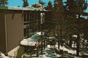 Vintage Postcard Tramway Mountain Station Palm Springs California CA