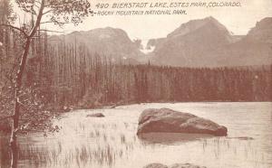 Estes Park Colorado Bierstadt Lake Waterfront Antique Postcard K107394