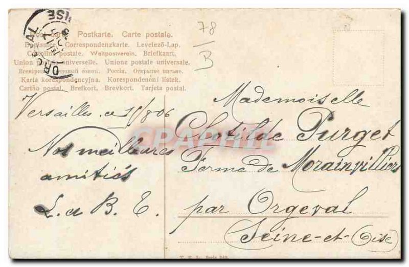 Postcard Old Sheep Herd