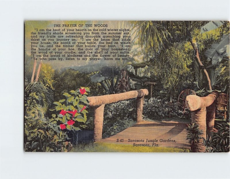 Postcard The Prayer Of The Woods Sarasota Jungle Gardens Sarasota Florida USA