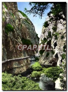 Modern Postcard Amelie les Bains Gorges Mondony