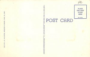 South Dakota Flag Sunshine State Misc SD