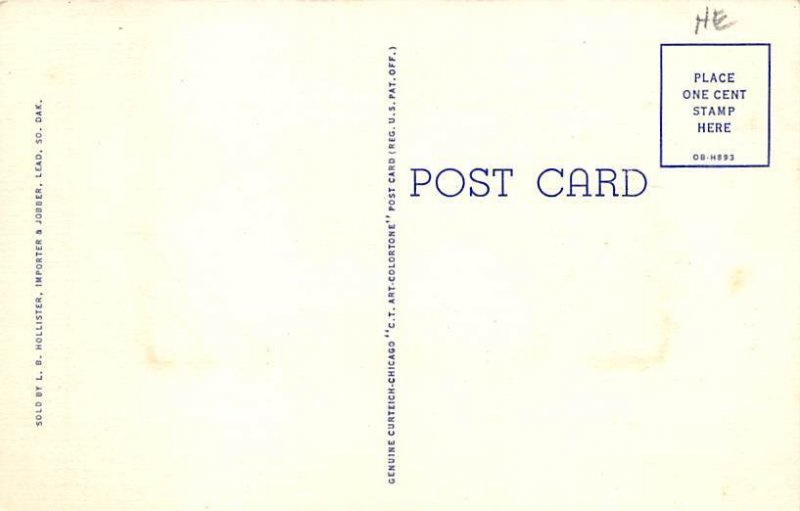 South Dakota Flag Sunshine State Misc SD