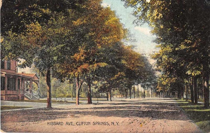 Clifton Springs New York scenic birds eye view Hibbard Ave antique pc Z22600