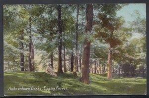 Essex Postcard - Ambresbury Banks, Epping Forest    RS11535