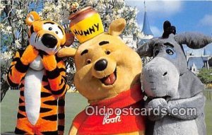 Tigger, Pooh & Eeyore Walt Disney World, FL, USA Unused 