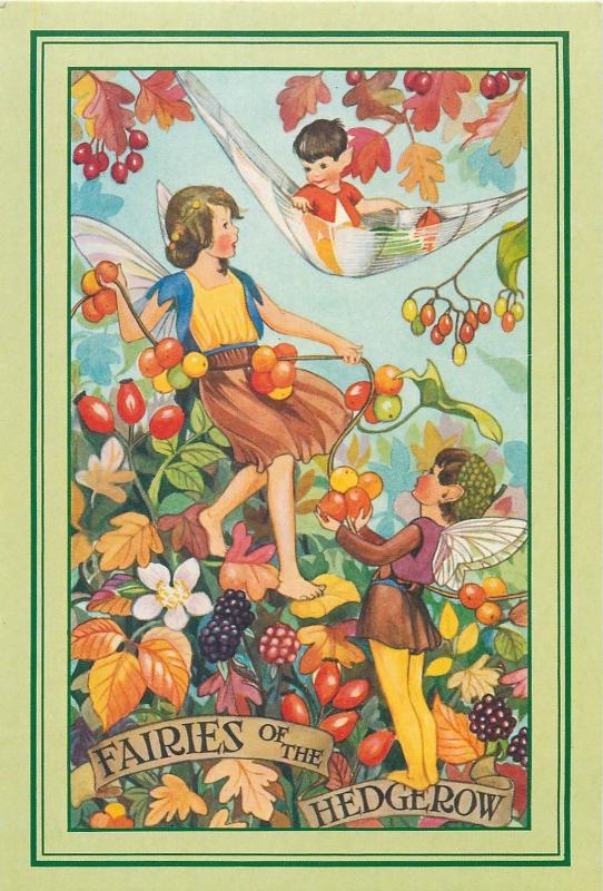 Fairies of the Hedgerow fay children fantasy postcard