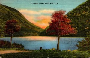 New Hampshire White Mountains Profile Lake