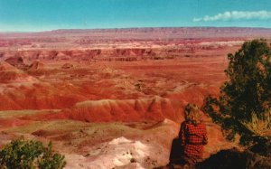 Painted Desert National Monument Peaceful Grandeur Northern Arizona AZ Postcard