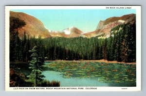 CO- Colorado, Lily Pads On Snow Waters, Rocky Mountain, Vintage Postcard 