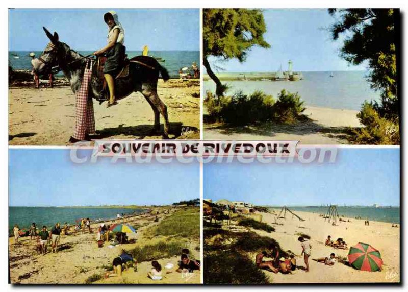 Postcard Modern Rivedoux The Ass In Panties