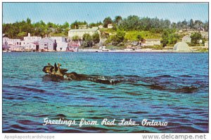 Canada Greetings From Red Lake Ontario