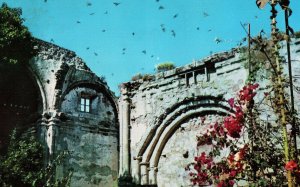 VINTAGE POSTCARD MISSION SAN JUAN CAPISTRANO CALIFORNIA FOUNDED 1776