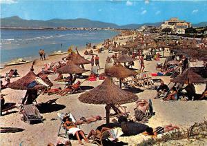 BG27699 arenal mallorca playa    spain