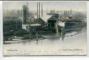 Cascade Lumber & Shingle Co Snohomish Washington 1907 postcard