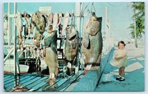 Key West Florida Fishing Charter Postcard Vintage