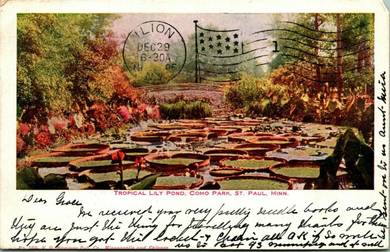 St Paul Minnesota MN Como Park Tropical Lily Pond 1906 UDB Vtg Postcard