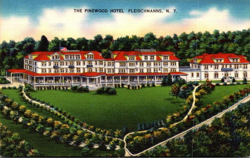 New York Fleischmanns The Pinewood Hotel