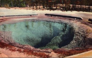 Yellowstone National Park Morning Glory Pool 1950