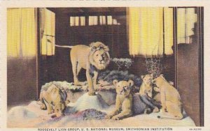 Roosevelt Lion Group Smithsonian Institution