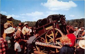 Horse saws logs by means of Pioneer Treadmill, Frontier Town Lake George, NY,...