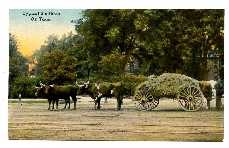 Southern Ox Team Hauling Hay