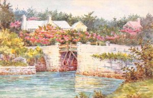 Paget Bermuda Bridge Scenic View CF Tucker Vintage Postcard AA14741 