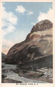 Field British Columbia Canada Mt Stephen Scenic View Antique Postcard J64434