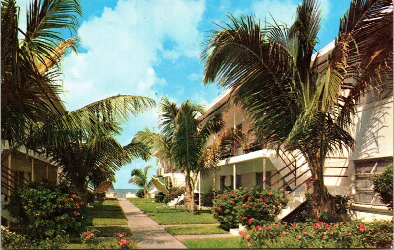 Dolphin Apartments St Petersburg Florida Palm Trees Coastal Chrome Postcard 
