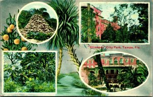 Glimpses of City Park Multiview Tampa Florida FL UNP Unused DB Postcard D9